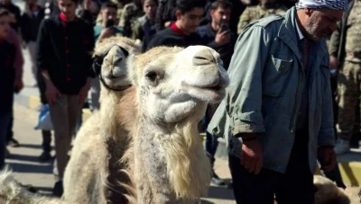 دوما: أنباء عن تحضيرات تسبق إفراج الإمارات عن عصام بويضاني