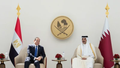 قطر ومصر تؤكدان أهمية الحفاظ على وحدة سوريا