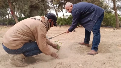دير الزور تطلق حملة تشجير واسعة احتفالاً بالذكرى الأولى للتحرير
