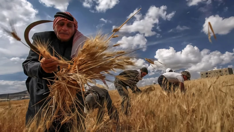 توقعات بإن...