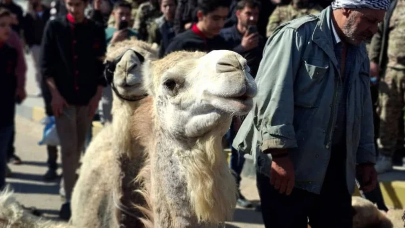 دوما: أنبا...