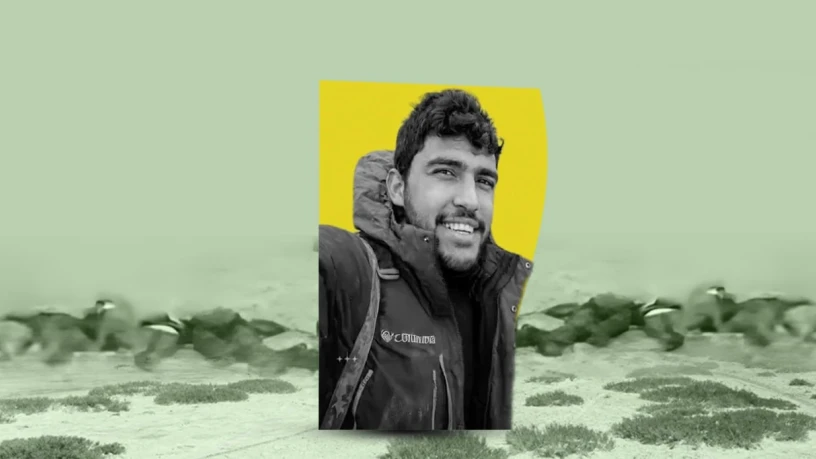 منصة "تأكد...