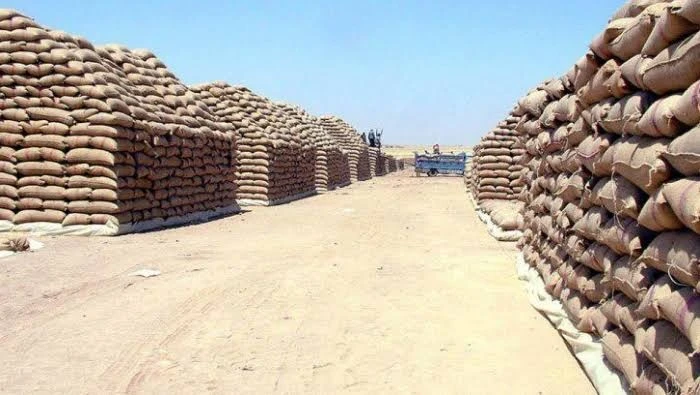 حمص: "السورية للحبوب" تنهي استعداداتها لاستلام محصول القمح