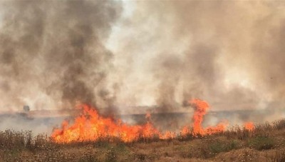 الحسكة ... نيران المحاصيل تجتاح قرية وتقتل طفل وسيدتين برأس العين