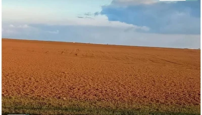 اشتروها من "ب ي د".. مزارعون في الحسكة يشكون من بذار قمح “فاسدة”