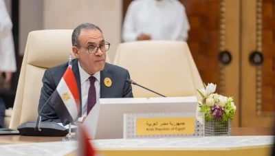 القاهرة لواشنطن: نرفض التدخل الإسرائيلي بالشأن السوري