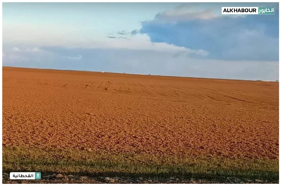 اشتروها من "ب ي د".. مزارعون في الحسكة يشكون من بذار قمح “فاسدة”