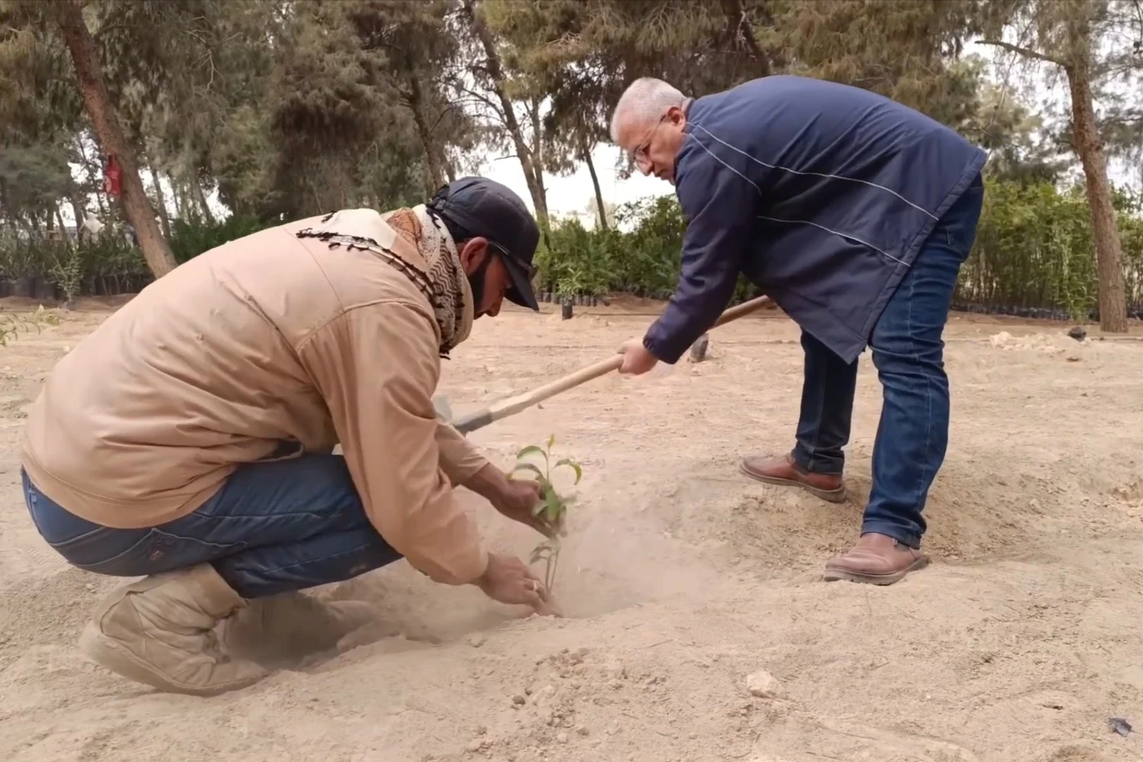 دير الزور تطلق حملة تشجير واسعة احتفالاً بالذكرى الأولى للتحرير