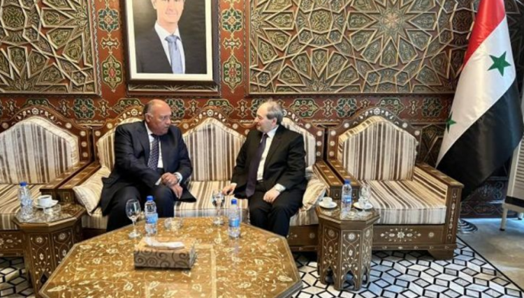 لأول مرة منذ 12 سنة.. وزير الخارجية المصري يزور سوريا