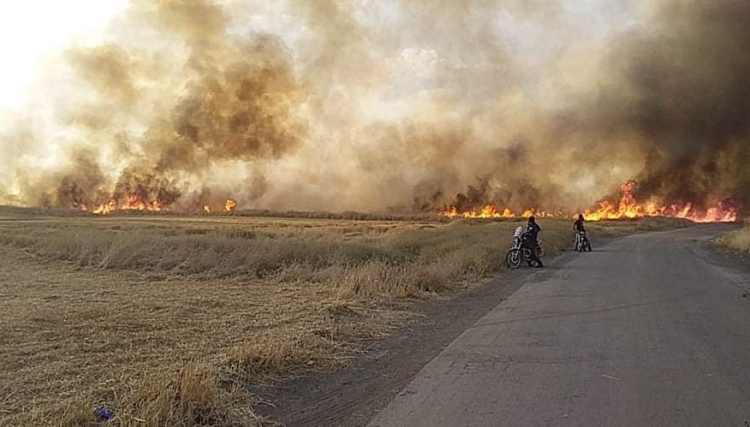الائتلاف الوطني: حرق المحاصيل الزراعية شرقي سوريا جريمة حرب