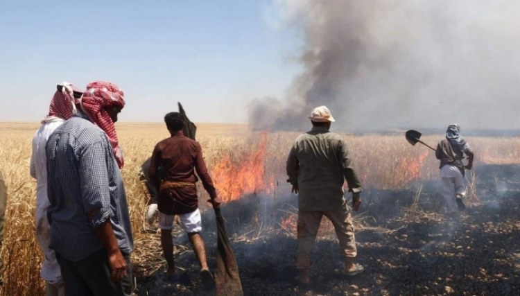 الحسكة.. النيران تصيب ثلاثة فلاحين حاولوا إنقاذ محصولهم بحروق خطيرة