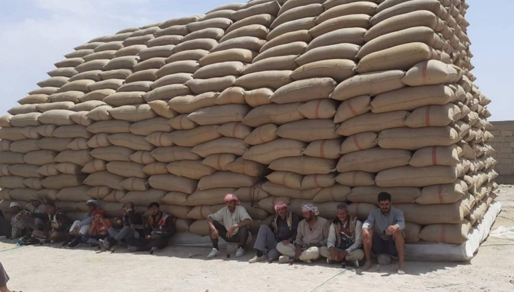 الحكومة المؤقتة : افتتاح مراكز لشراء القمح في ريفي حلب والرقة